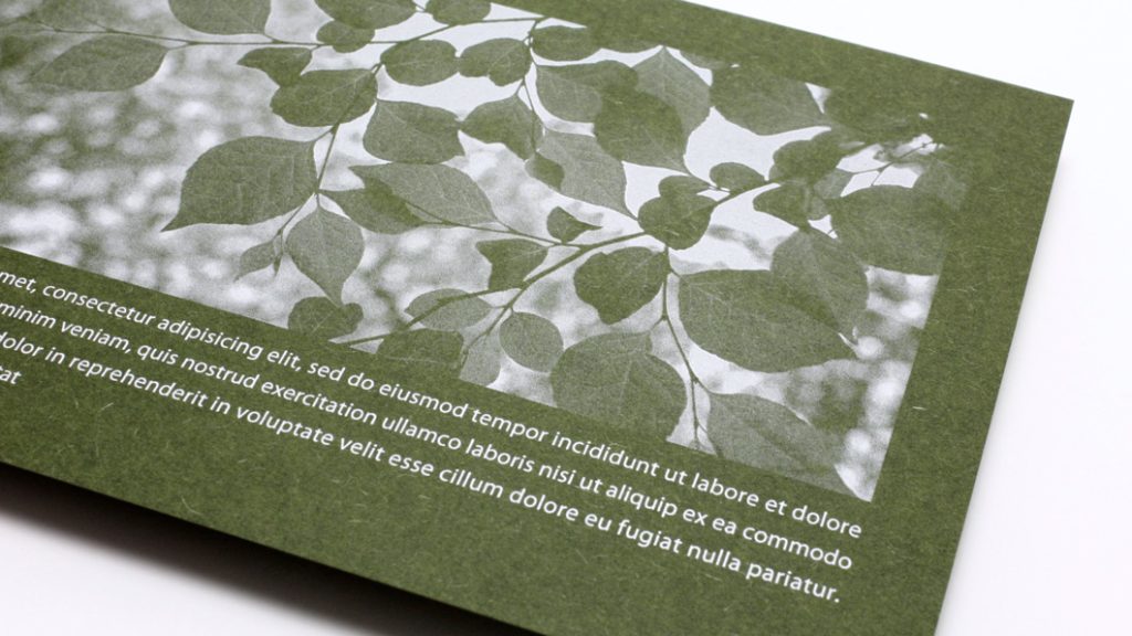 葉っぱイメージのDM_02